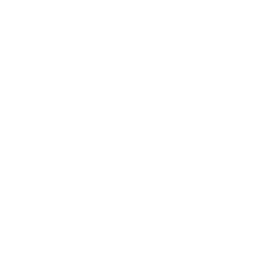 Professional Visa & Education | Client | 25 Hours